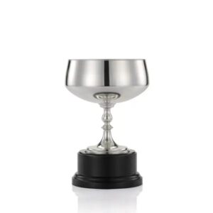 Royal Selangor 冠軍獎盃 - Image 4